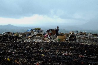 At the Dump